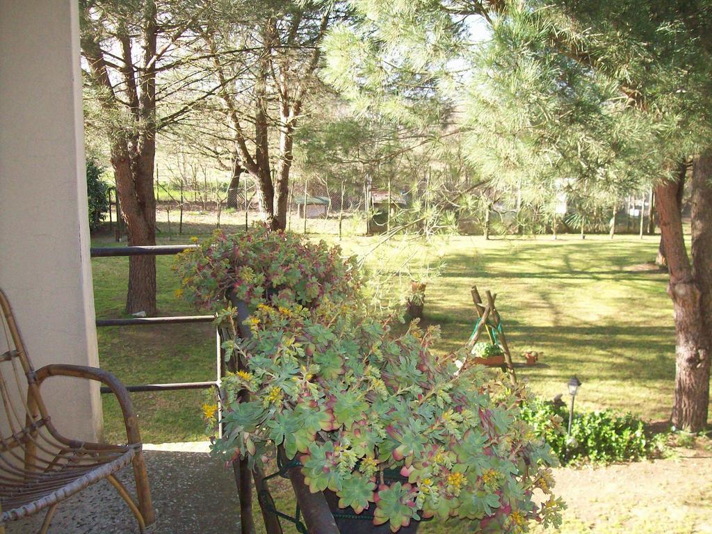 Campo Alle Monache Bucine Zimmer foto