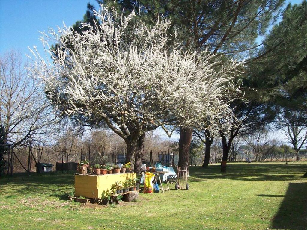 Bed and Breakfast Campo Alle Monache Bucine Exterior foto