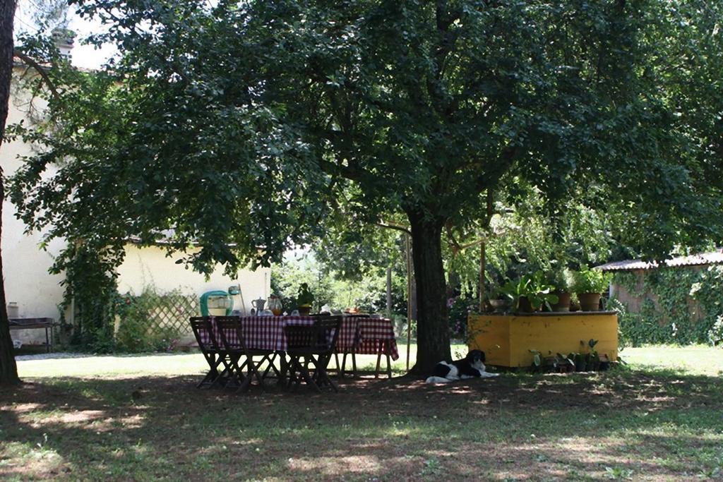 Campo Alle Monache Bucine Zimmer foto