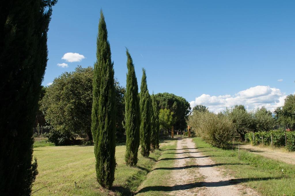 Bed and Breakfast Campo Alle Monache Bucine Exterior foto