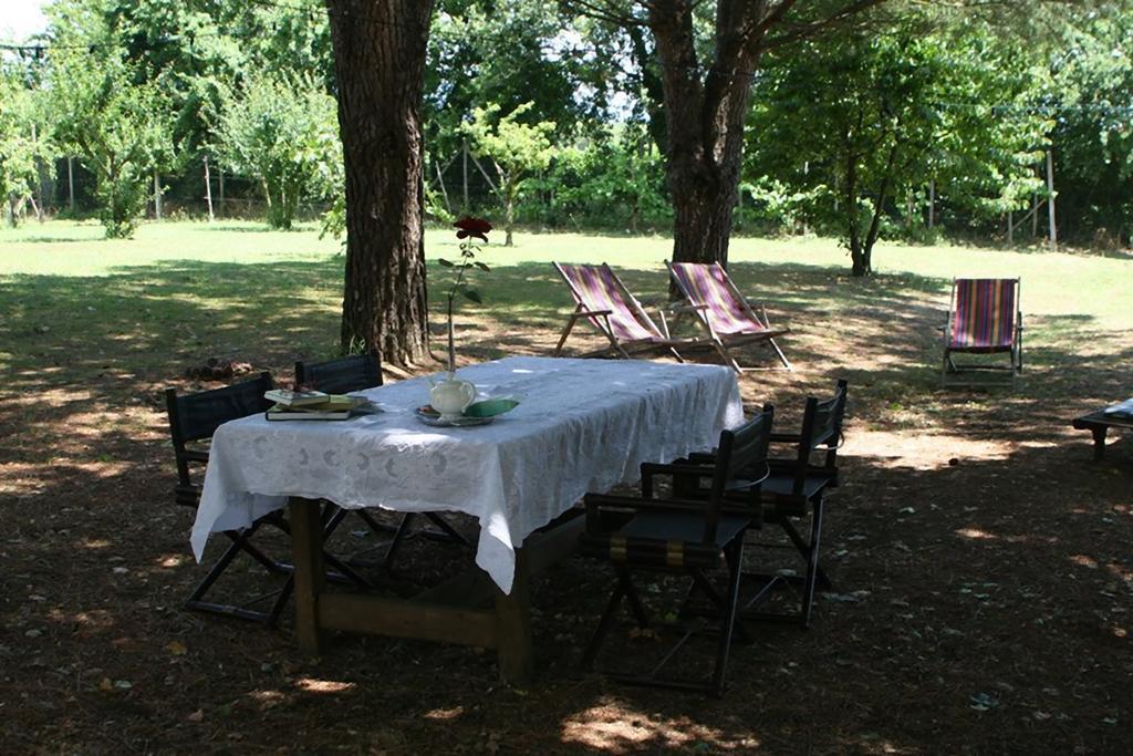 Campo Alle Monache Bucine Exterior foto