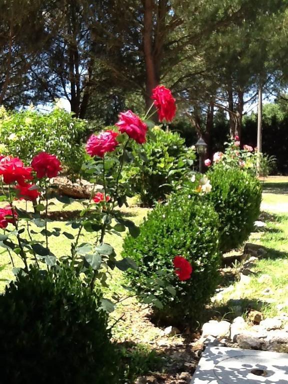 Bed and Breakfast Campo Alle Monache Bucine Exterior foto