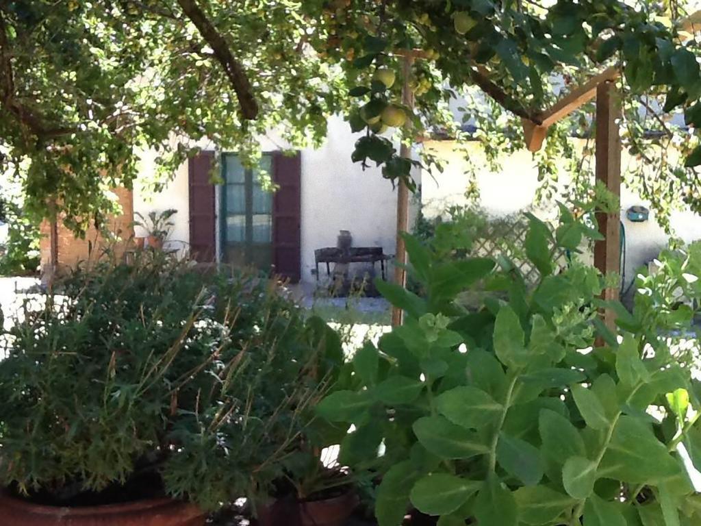 Bed and Breakfast Campo Alle Monache Bucine Exterior foto